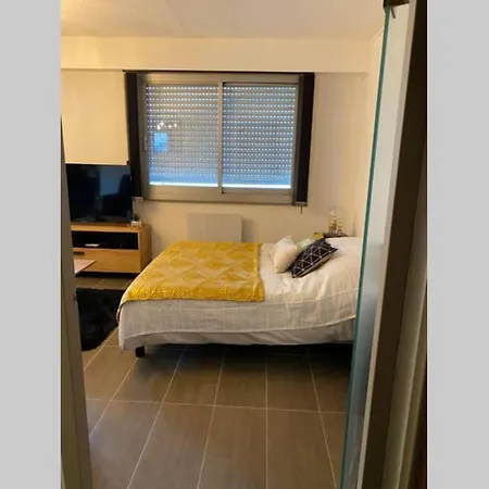 Apartment Le 12 Du Temple - Plein Coeur Centre Ville, Privee, 5mn Gare Sncf, Wifi Et Netflix Niort
